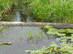 pipeline-in-water-13KB.jpg