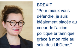 brexit_quote.png