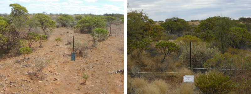 What carbon farming would mean for me
