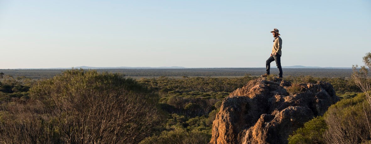 The West Regional Lifestyle: Man of the Land