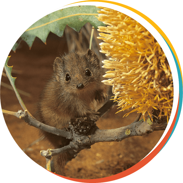 wildlife sanctuaries