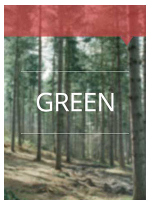green300b.jpg