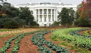 white-house-organic-garden-lawn-photo