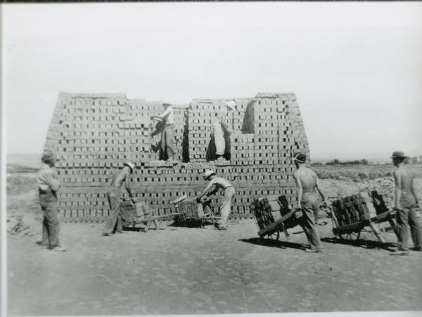 Pioneer industry