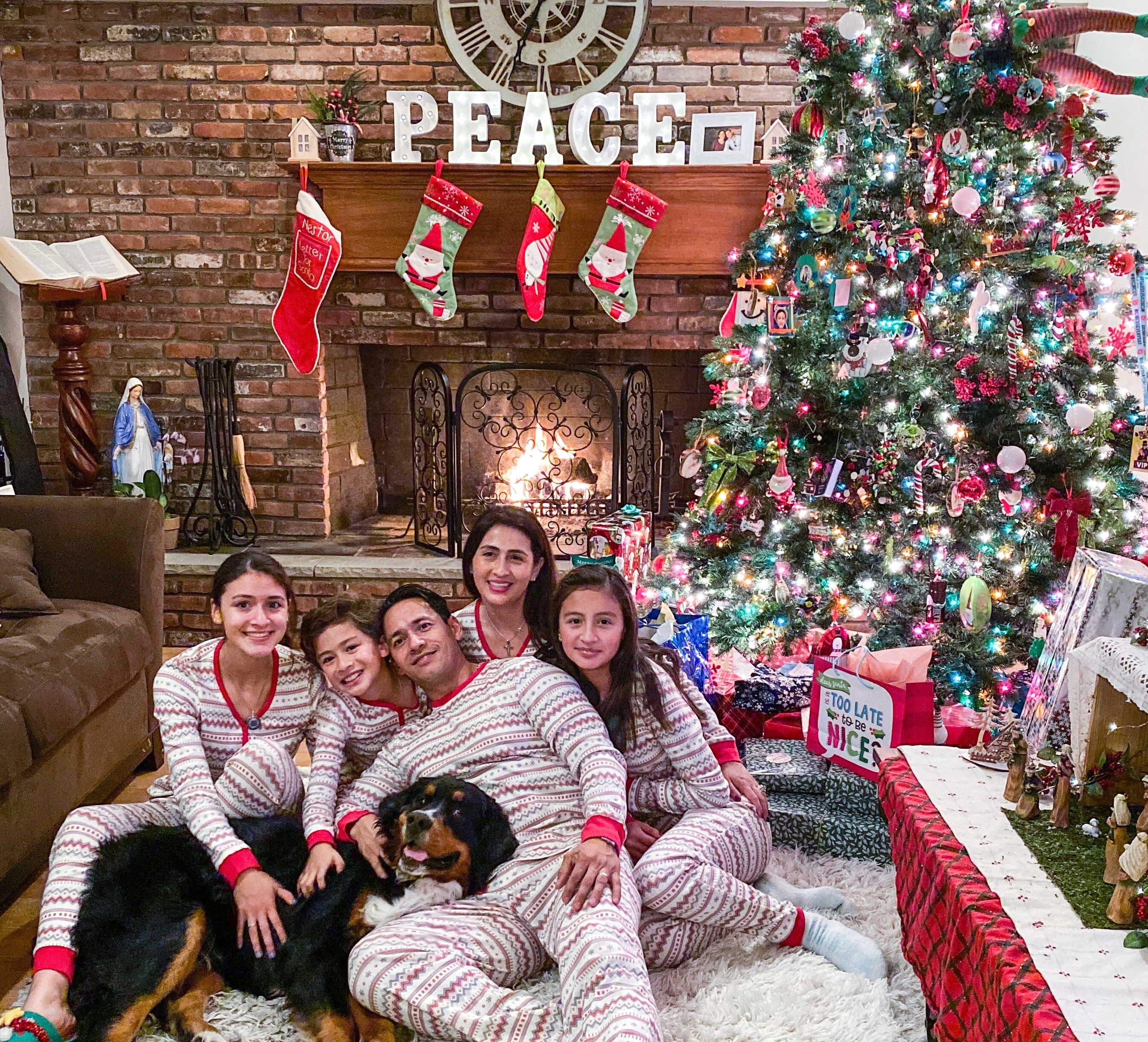 Bedoya family
