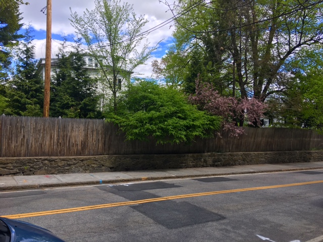 carrie-bell-image-of-patched-up-roads-from-gas-leak-repair-2.jpg