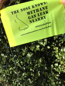 Brookline Gas Leaks Flag