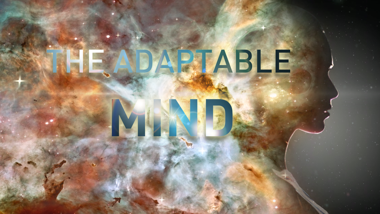 The Adaptable Mind