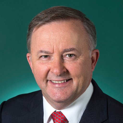 Hon Anthony Albanese (Labor) MP