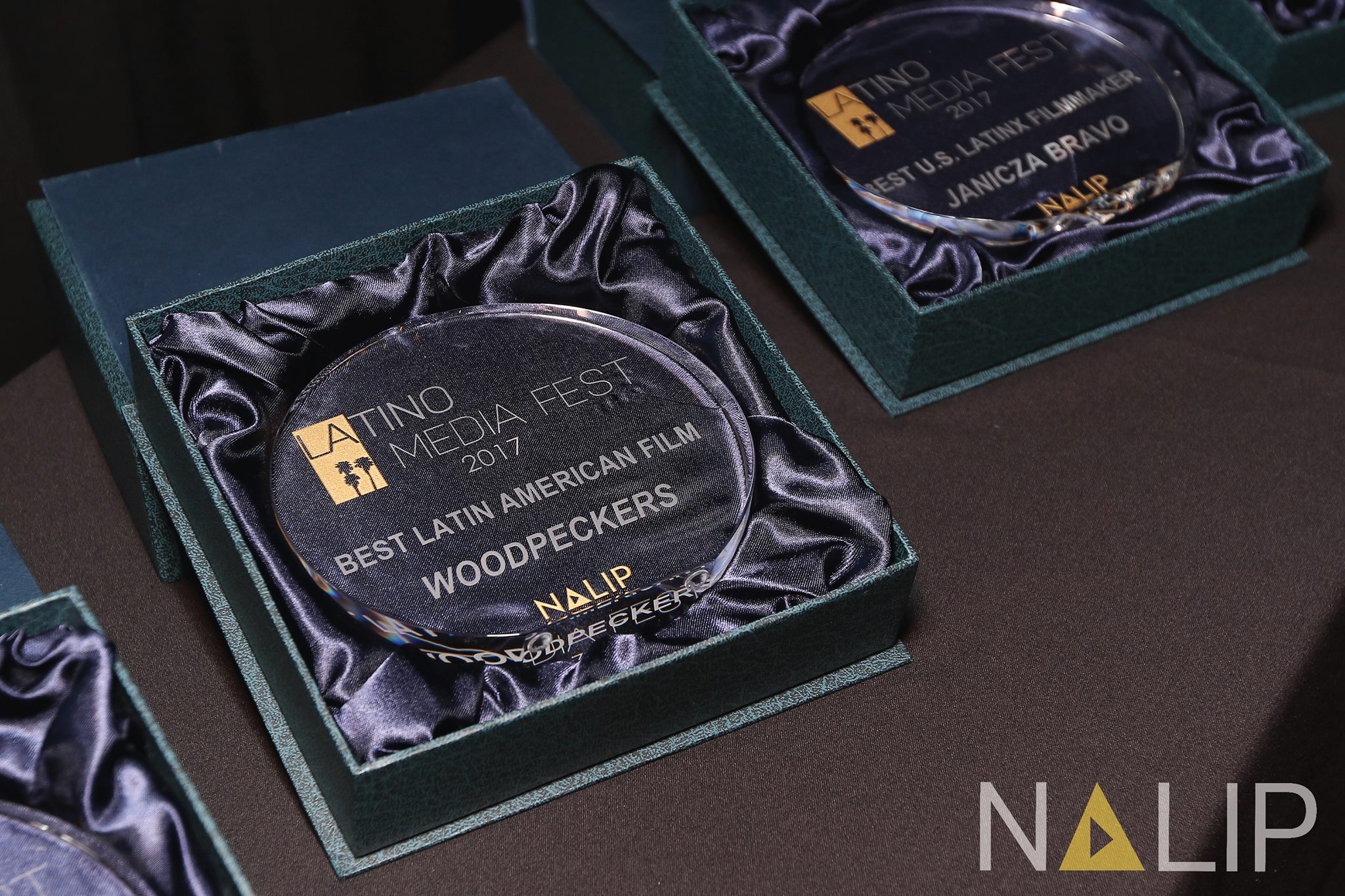 NALIP Announces the Nominees for the Latino Media Fest Awards!