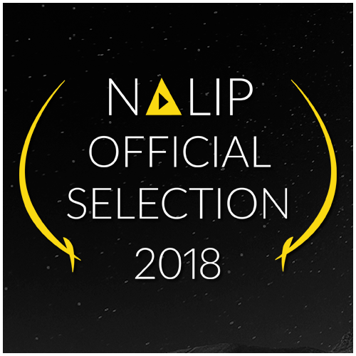 2018 NALIP Media Summit Official Selection