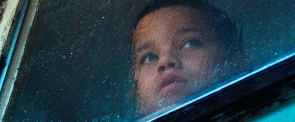 We the Animals Director Jeremiah Zagar Discovered His First Narrative Feature in a Bookstore and Shot it on 16mm