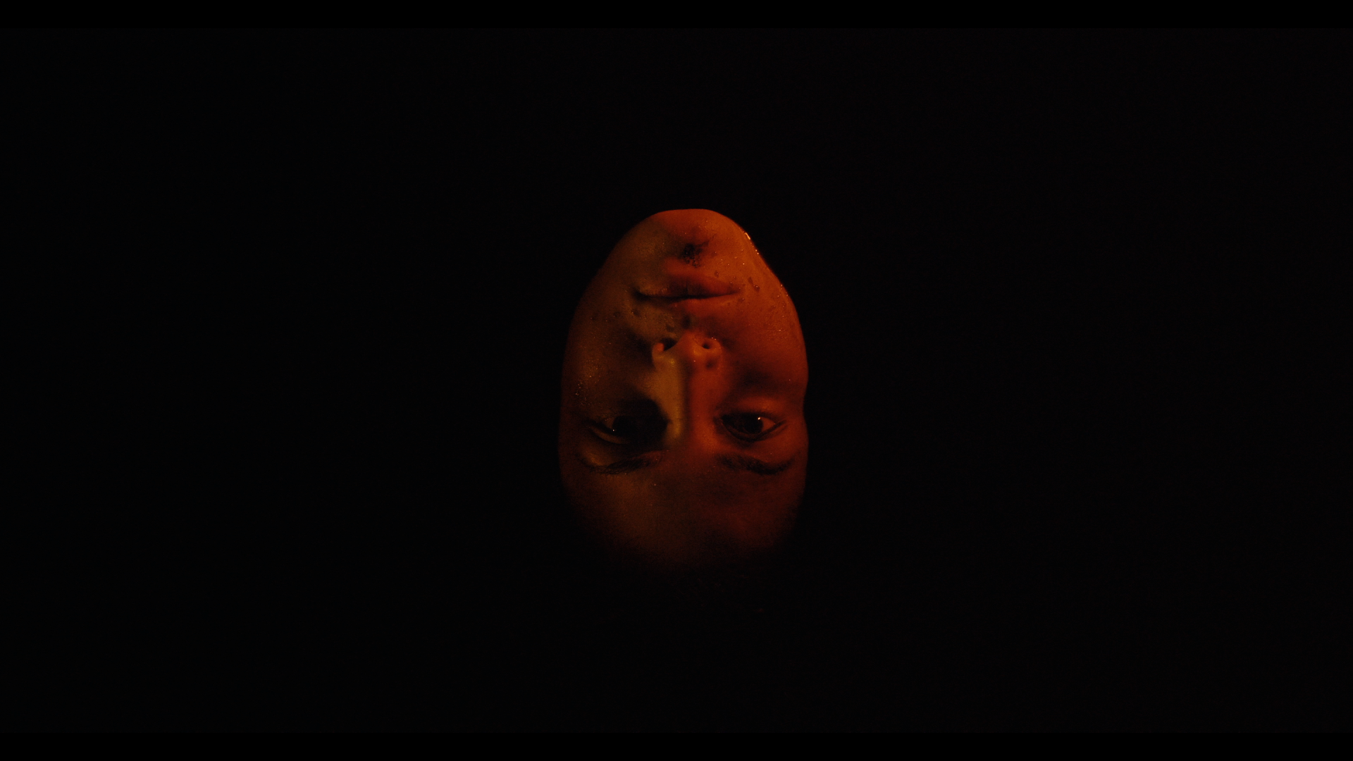 we-are-the-flesh-tenemos-la-carne2.png