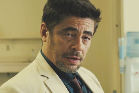 Benicio Del Toro To Voice Swiper The Fox in 'Dora The Explorer'