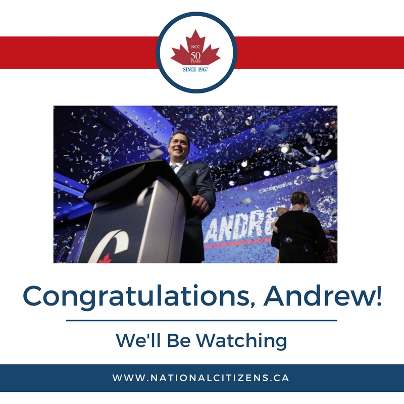 Scheer_JPEG_Social1.jpg