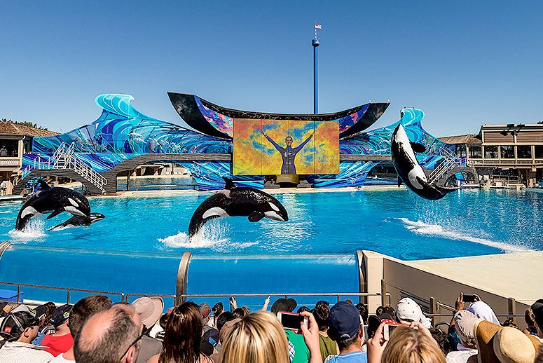 seaworld_8.jpg