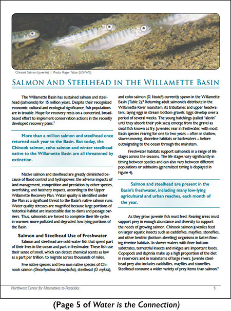 Page 5 of Water is the Connection publication: Salmon and Steelhead in the Willamette Basin