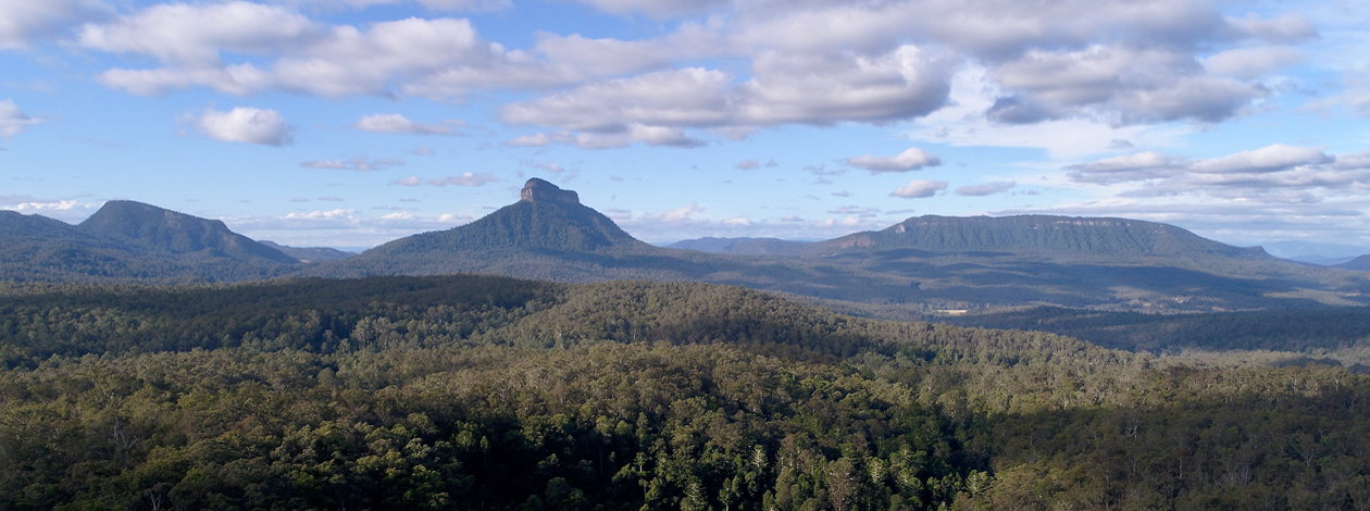 Githabul Return of Country North East Forest Alliance