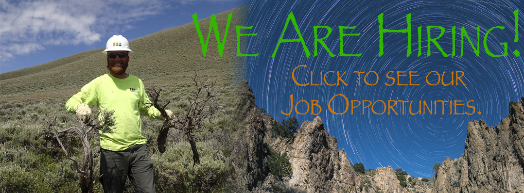 2017_job_posting_banner.png 2017_job_posting_banner.png