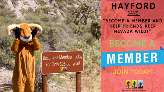 HayfordMembership.png HayfordMembership.png