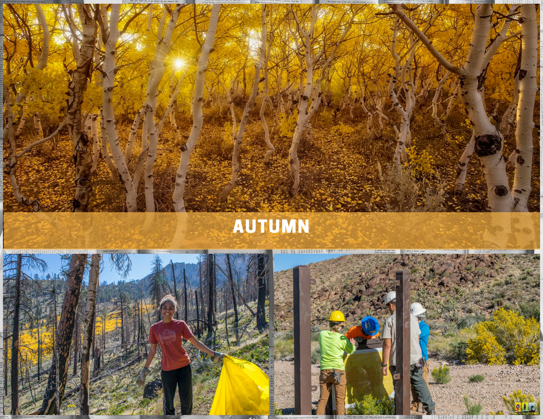 OctoberNewsletter_Autumn.png OctoberNewsletter_Autumn.png
