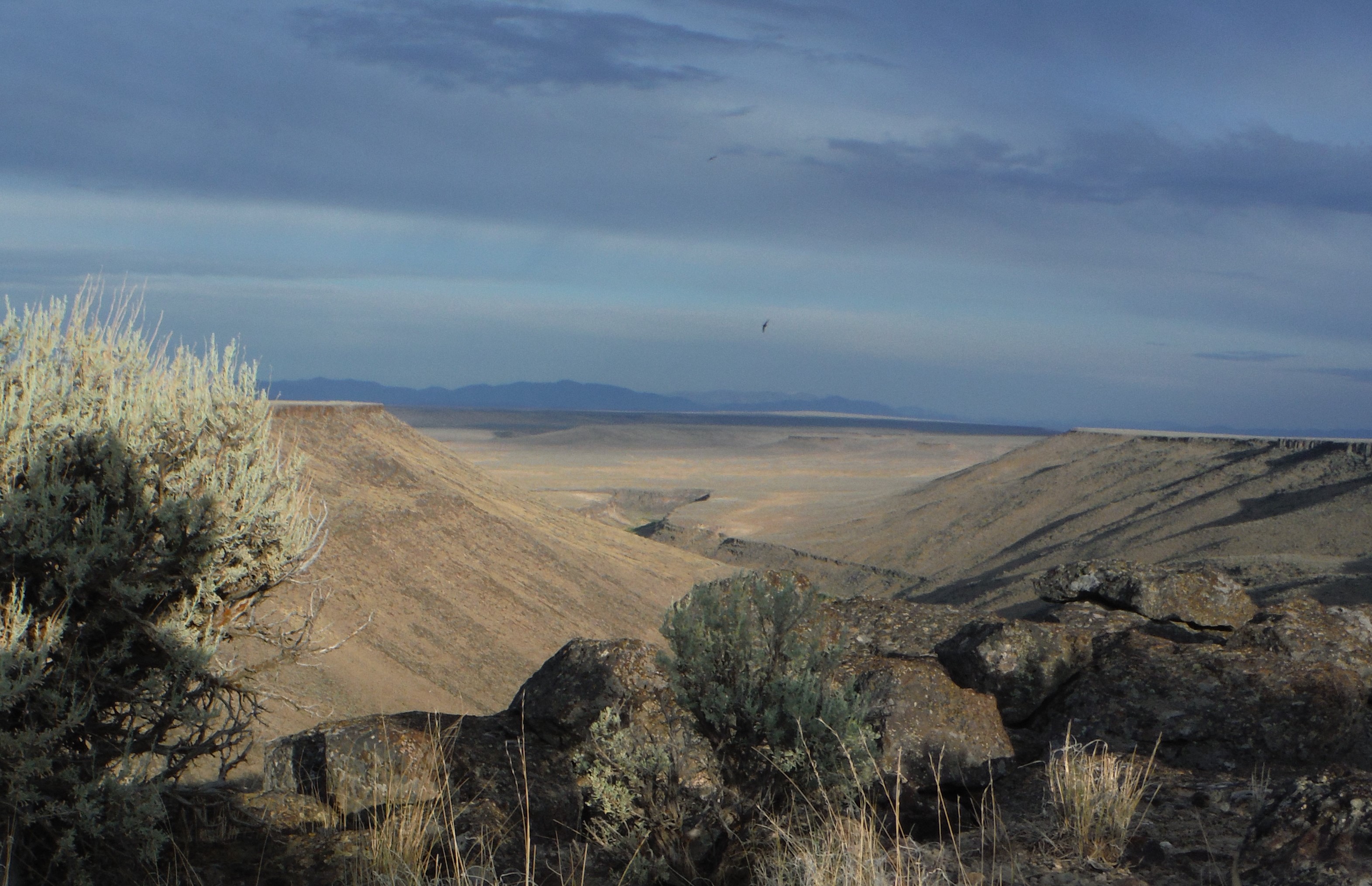 South Fork Owyhee River Wilderness Study Area Friends of Nevada