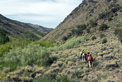 TableMt_Hitch4_2013_kuz_8818_enews.jpg