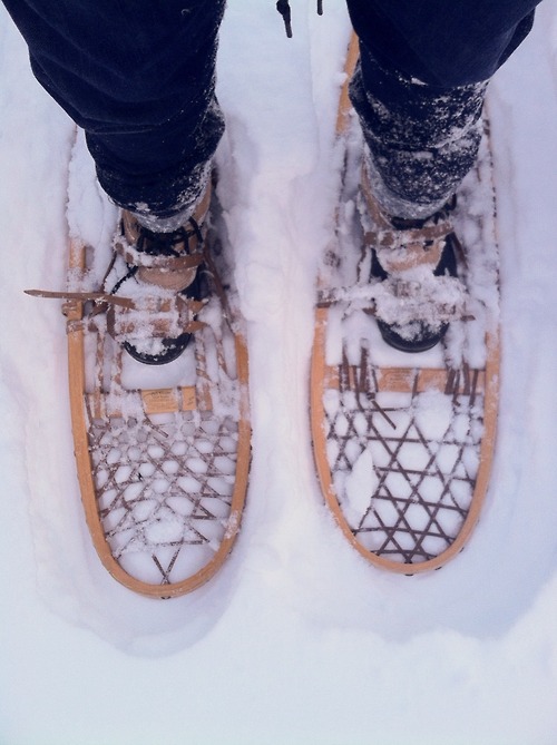 snowshoe.jpg snowshoe.jpg