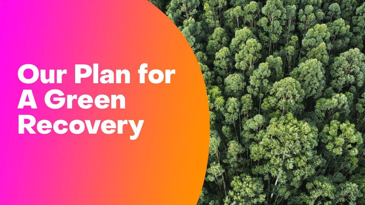 Securing a Green Recovery