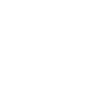 Section icon