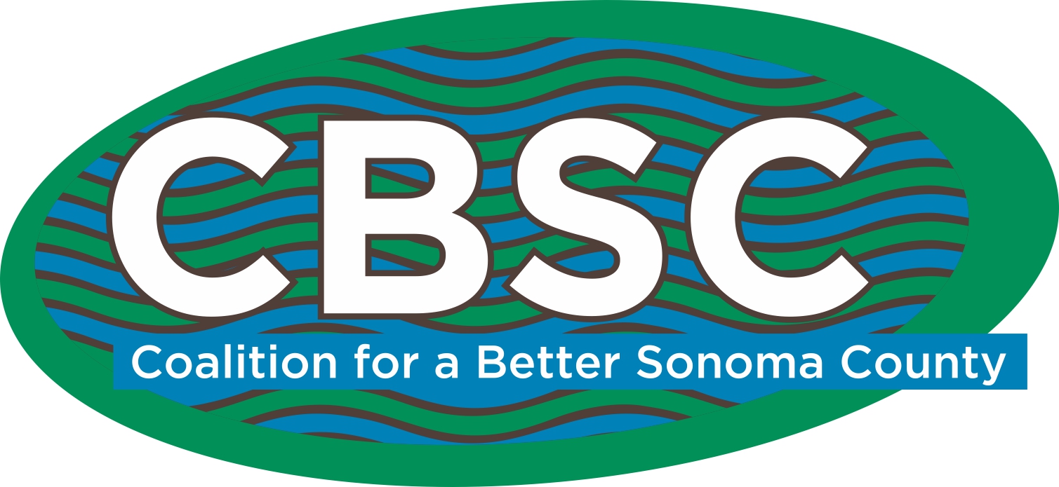 cbsc_2014_color_logo_big.jpeg