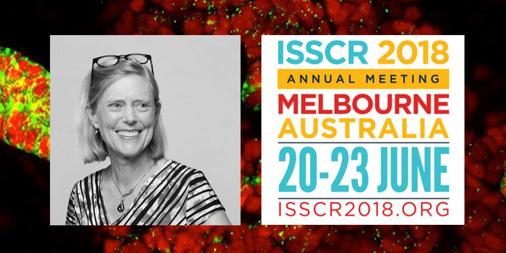 Professor Melissa Little