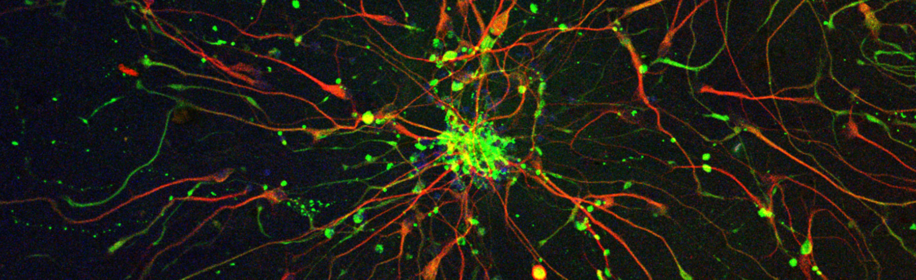 All our news. Find it here.