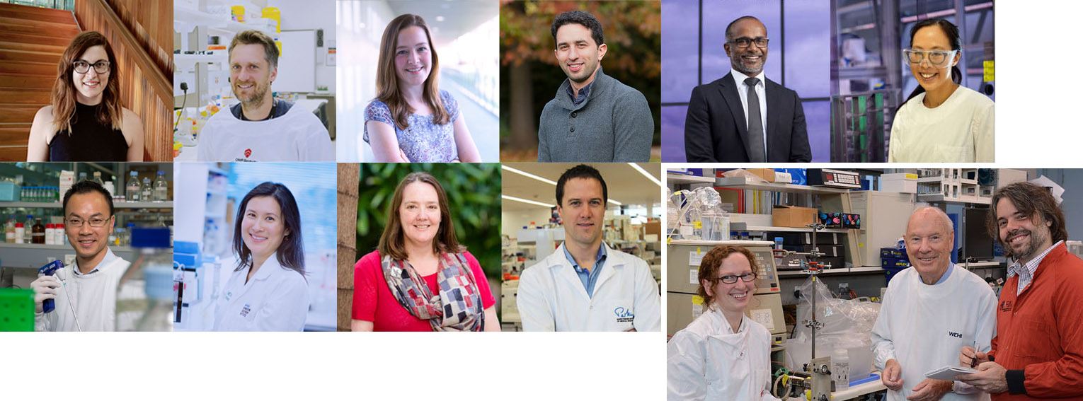 Metcalf Prize winners