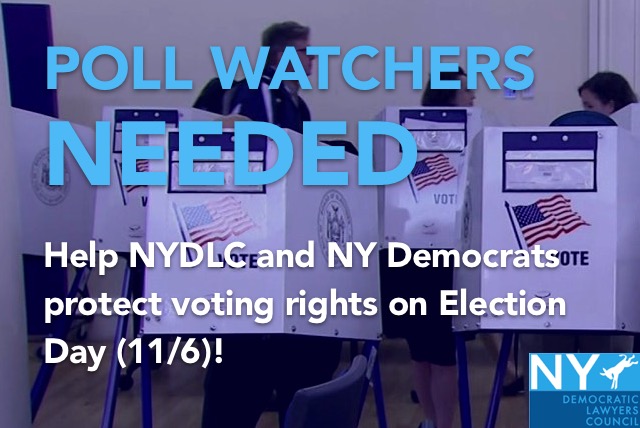 NYDLC_2018_Voter_Pro_Recruitment_Graphic_.jpeg