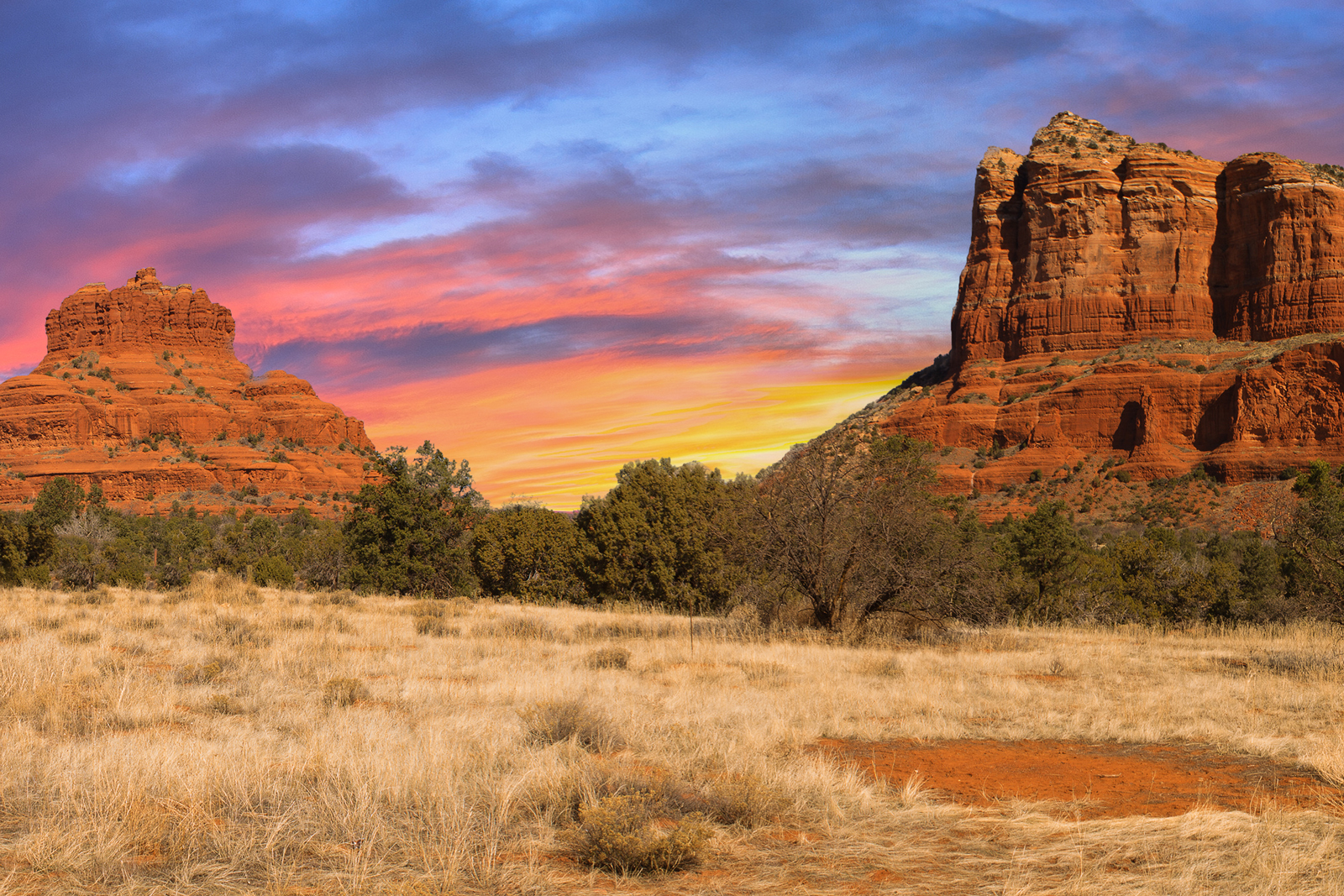 Home Open Primaries Arizona