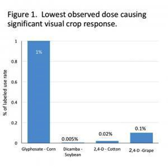 dicamba.jpg