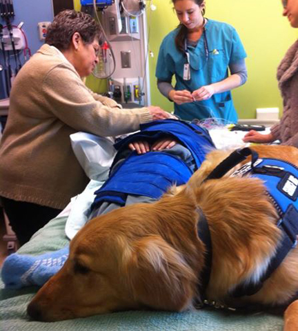 autism service dog vest