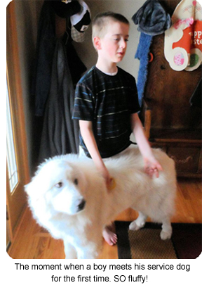 service dogs for depression autism service dogs for depression autism