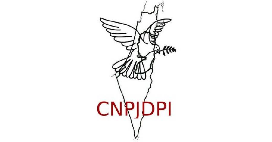 visuel_logo-CNPJDPI.jpg