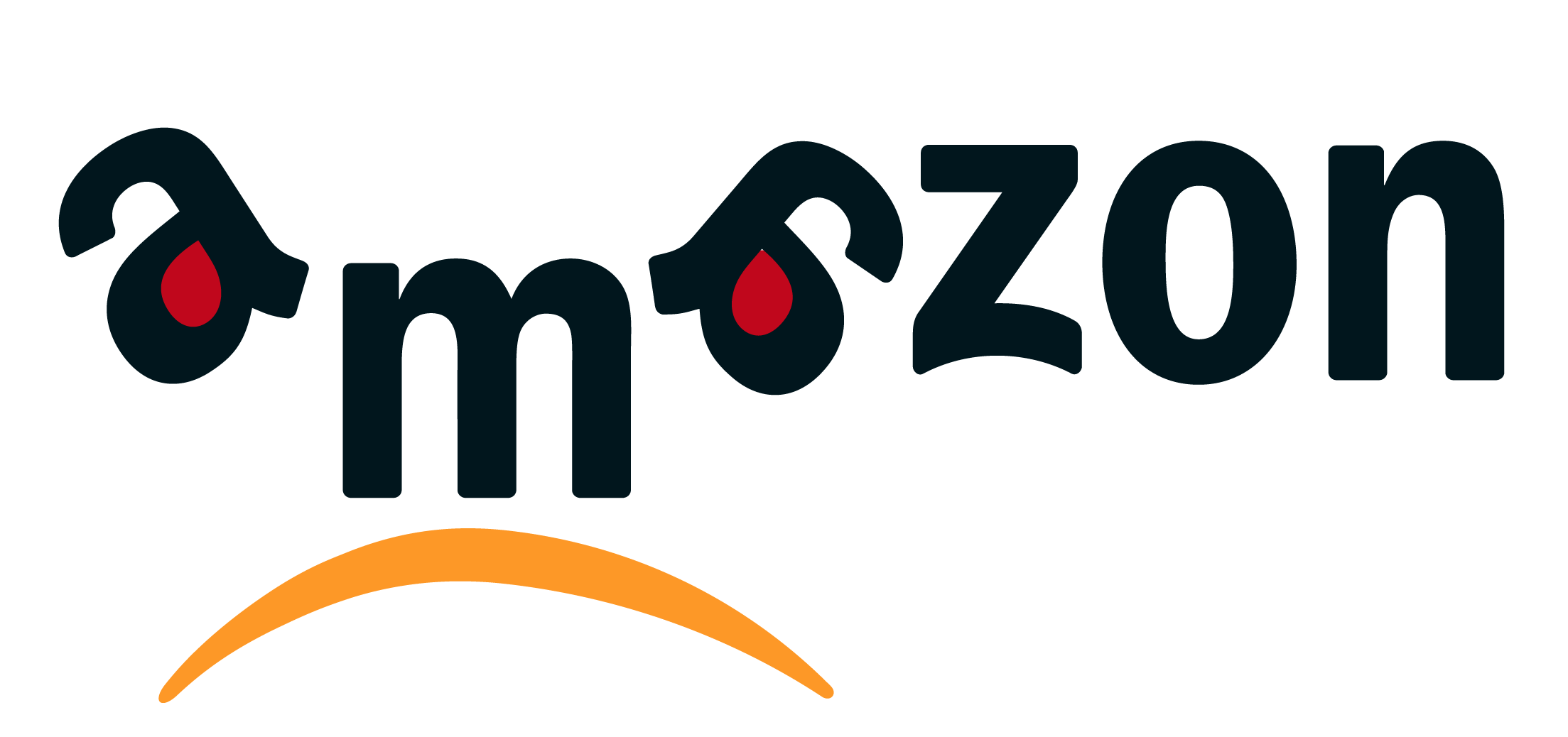 visuel-amazon.png