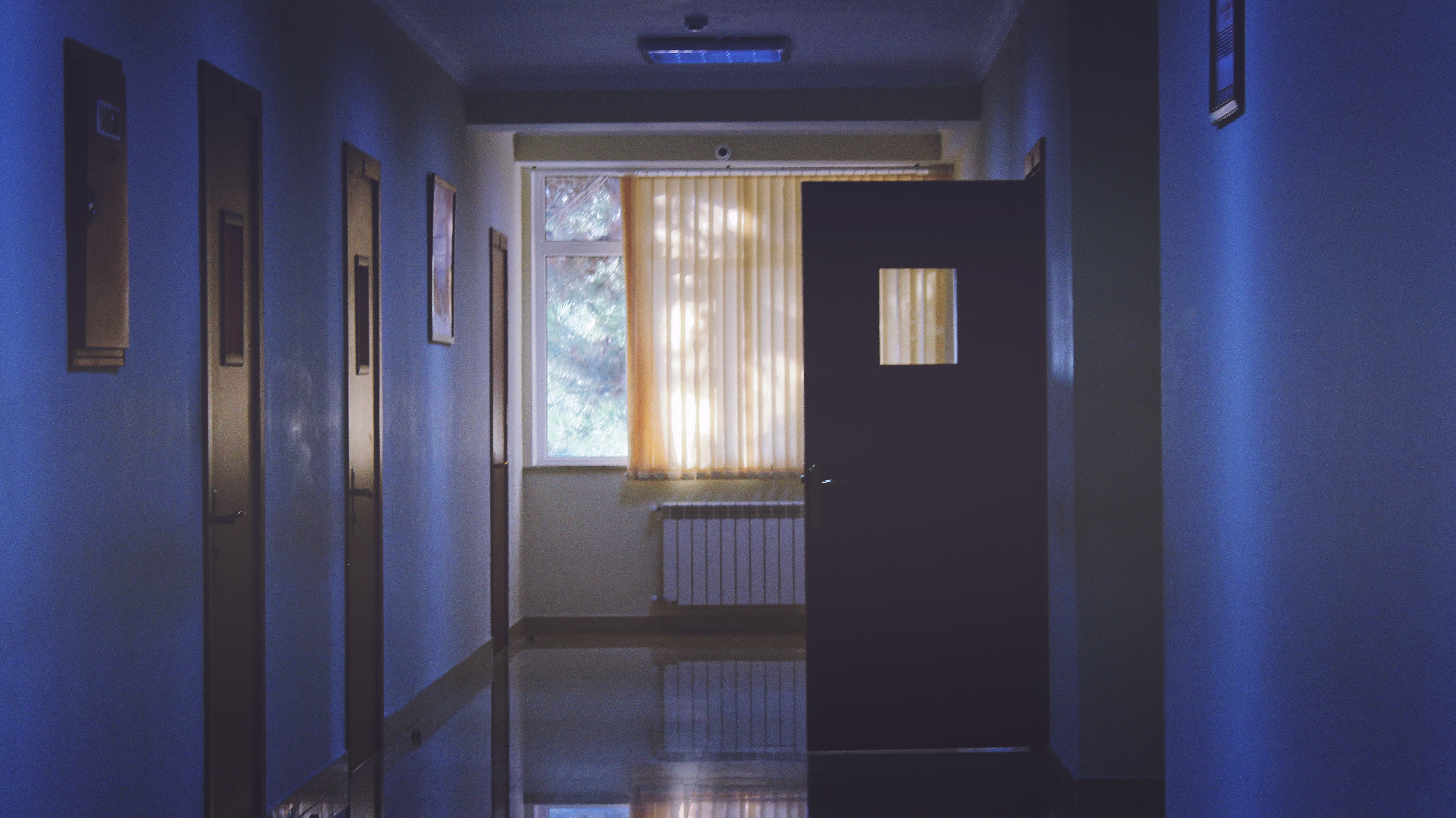 architecture-daylight-door-239853.jpg