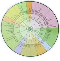 planet grape® - Origin of the Wine Aroma Wheel, by Dr. Ann Noble
