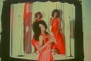 Images from Sex Lives and Videotape at the Canadian Lesbian and Gay Archives