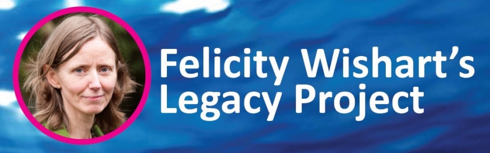 FelicityWishartLegacyProjectBanner-960x300_c.jpg