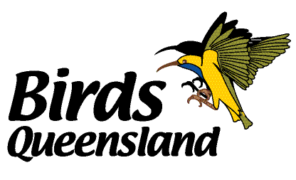 https://birdsqueensland.org.au/