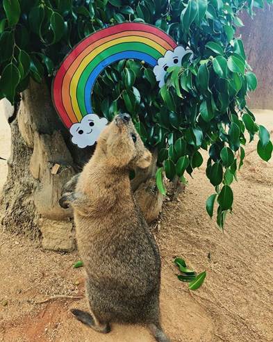 30% discount at WILD LIFE Sydney Zoo for Rainbow Families