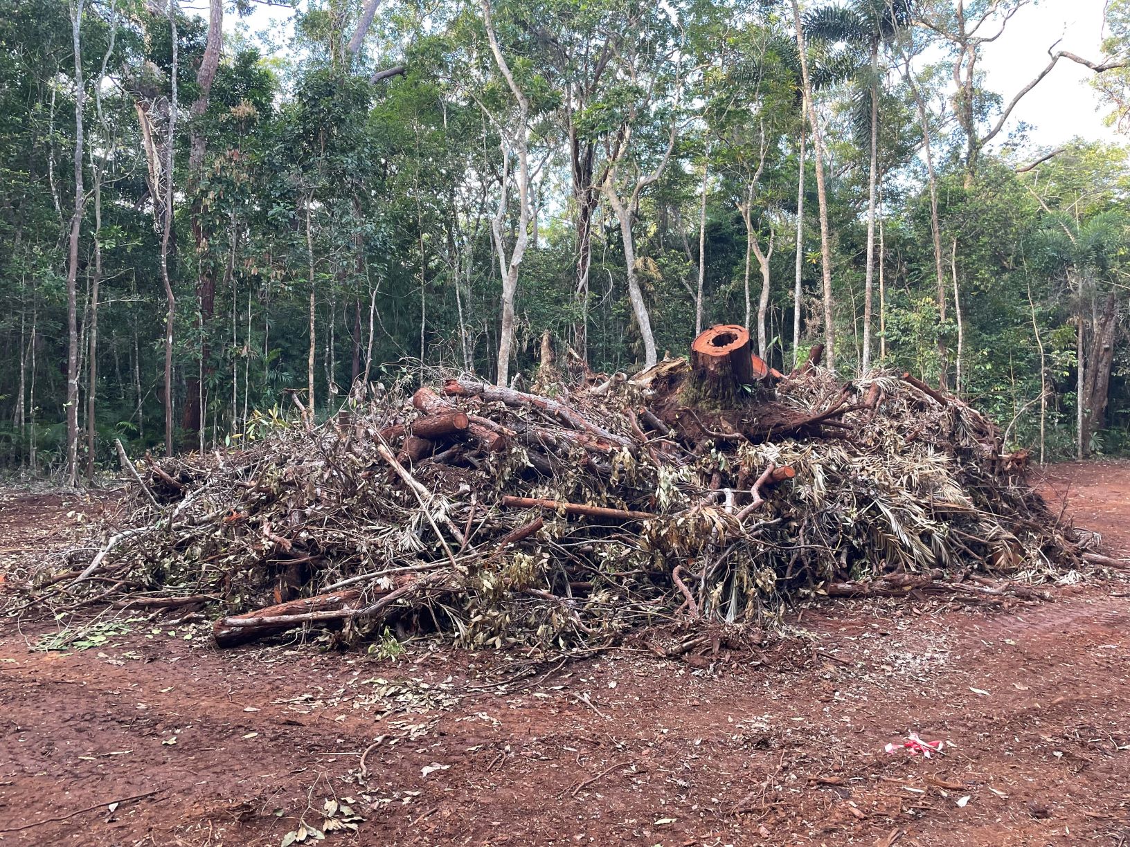 FAQ's for three Daintree Rainforest properties Rainforest 4