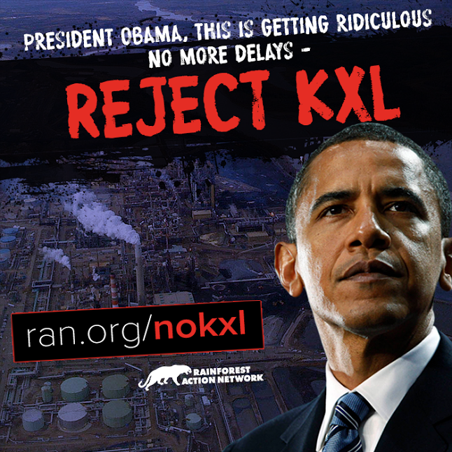 BHO_NOKXL.png
