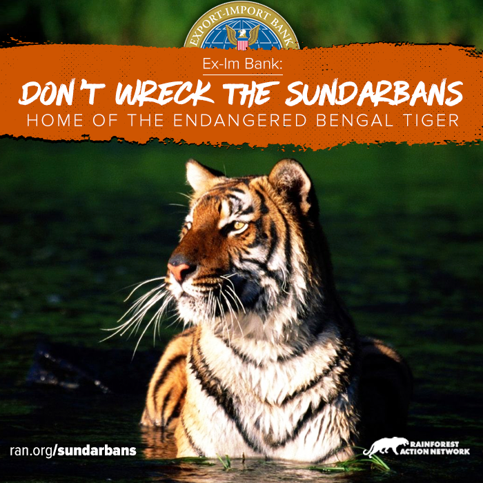 ExImSundarbans_v1_FB.png